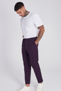 Pamplona Harry Brown Trouser in Purple